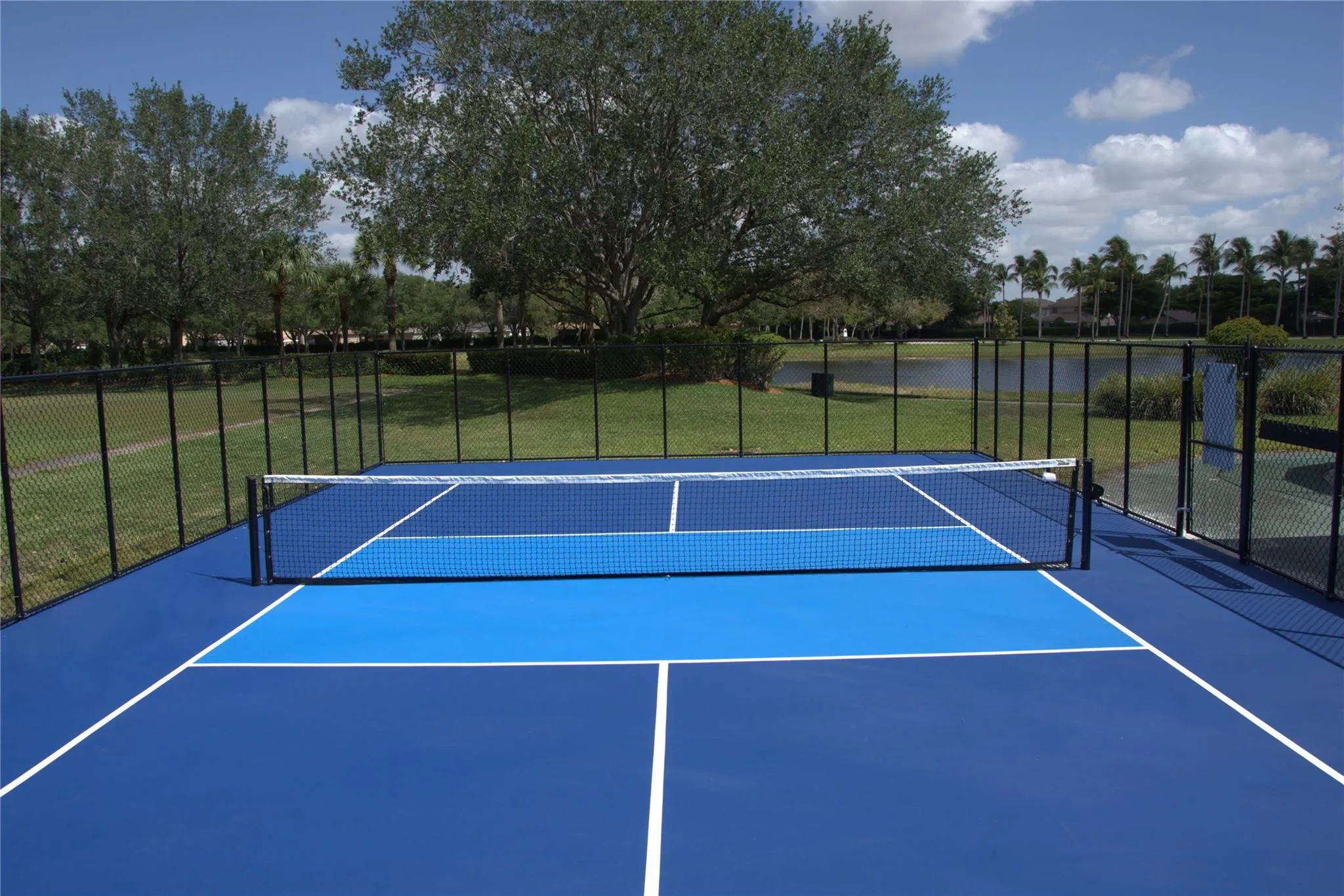 Picklball