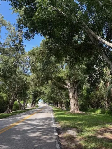 Bridge Road 1