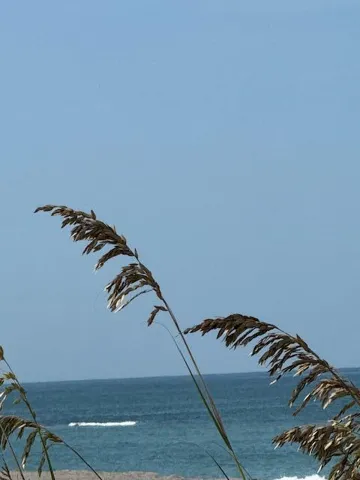 Hobe Sound Beach 3