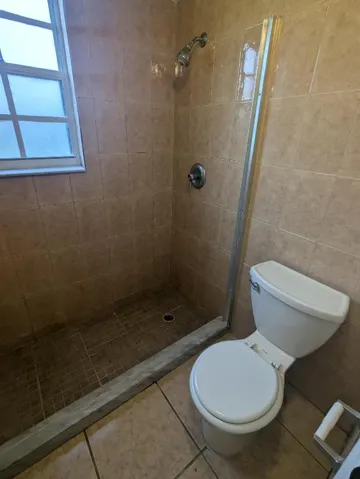 PXL_20251105_194127198
