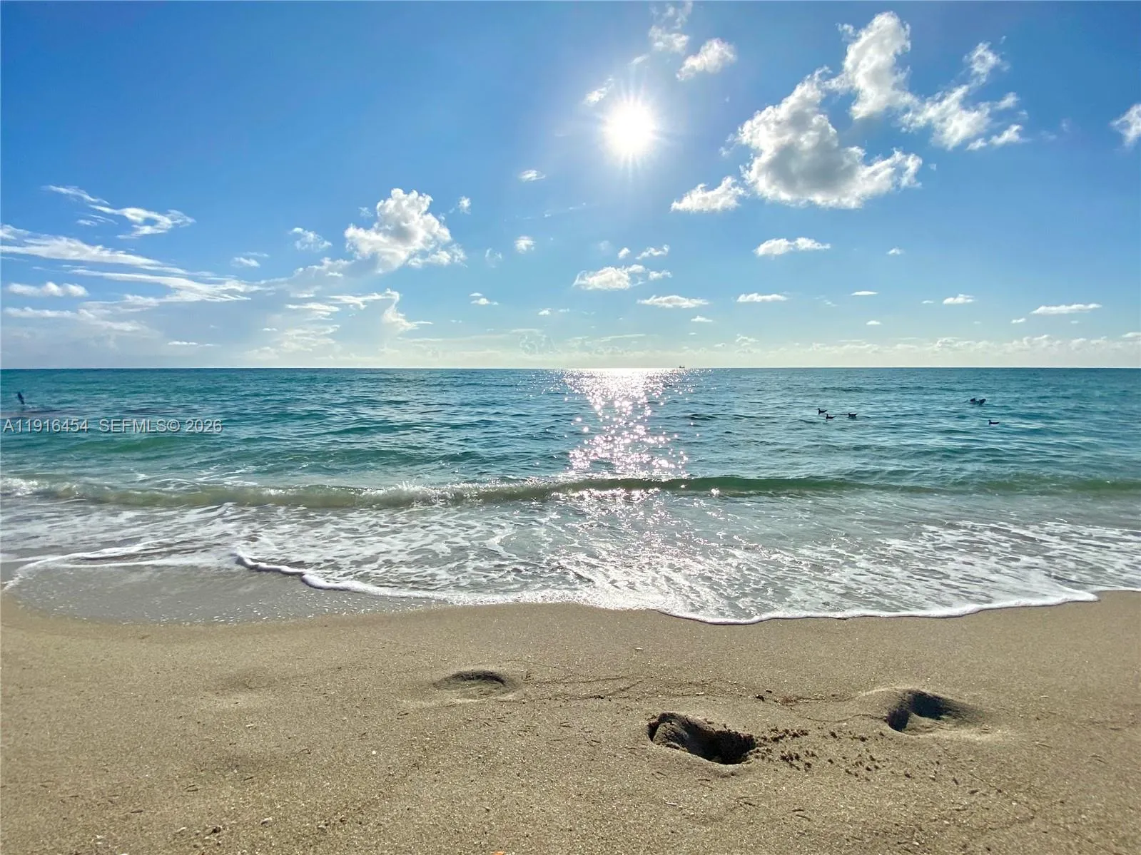 Oceanview Park Condo is in close distance to some of South Florida's best beaches! - Hallandale Beach, FL 33009. 1000 Parkview Drive, Unit #518.