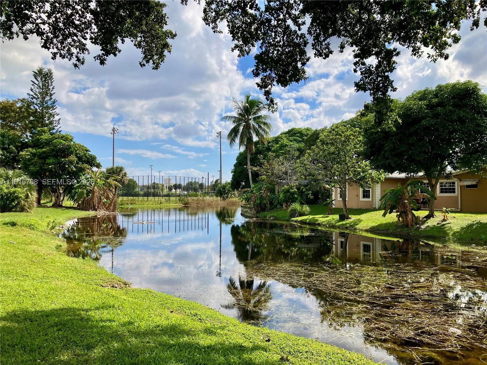 Your Backyard!