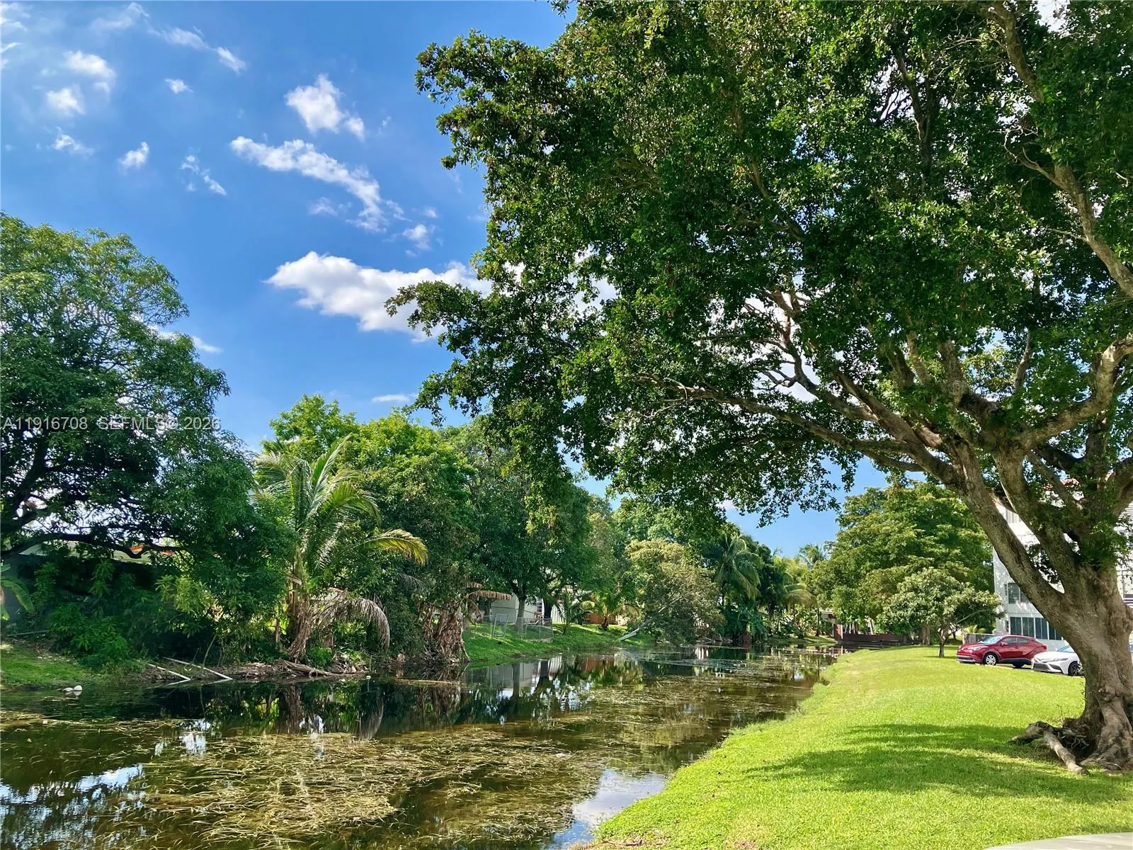 Your Backyard!