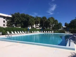 pool pic (1)