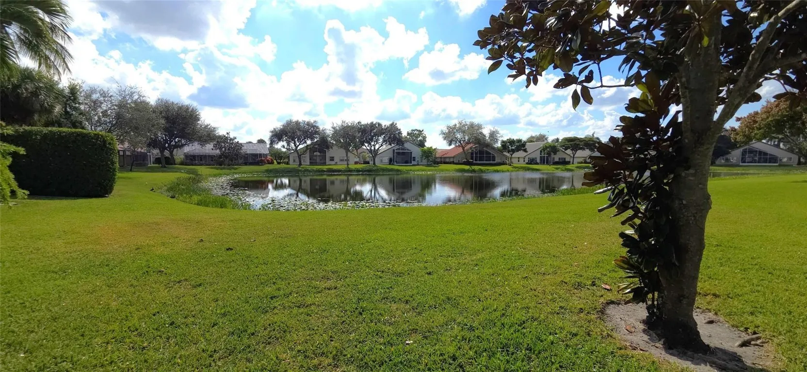 Stolen Lake View