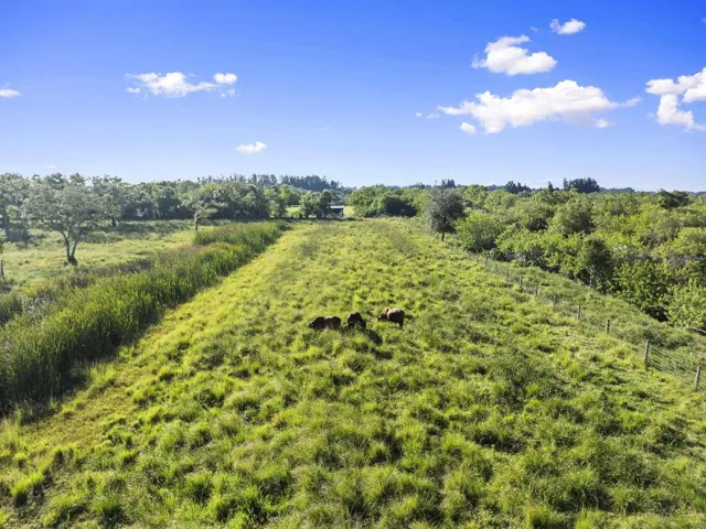 32-web-or-mls-DJI_0680