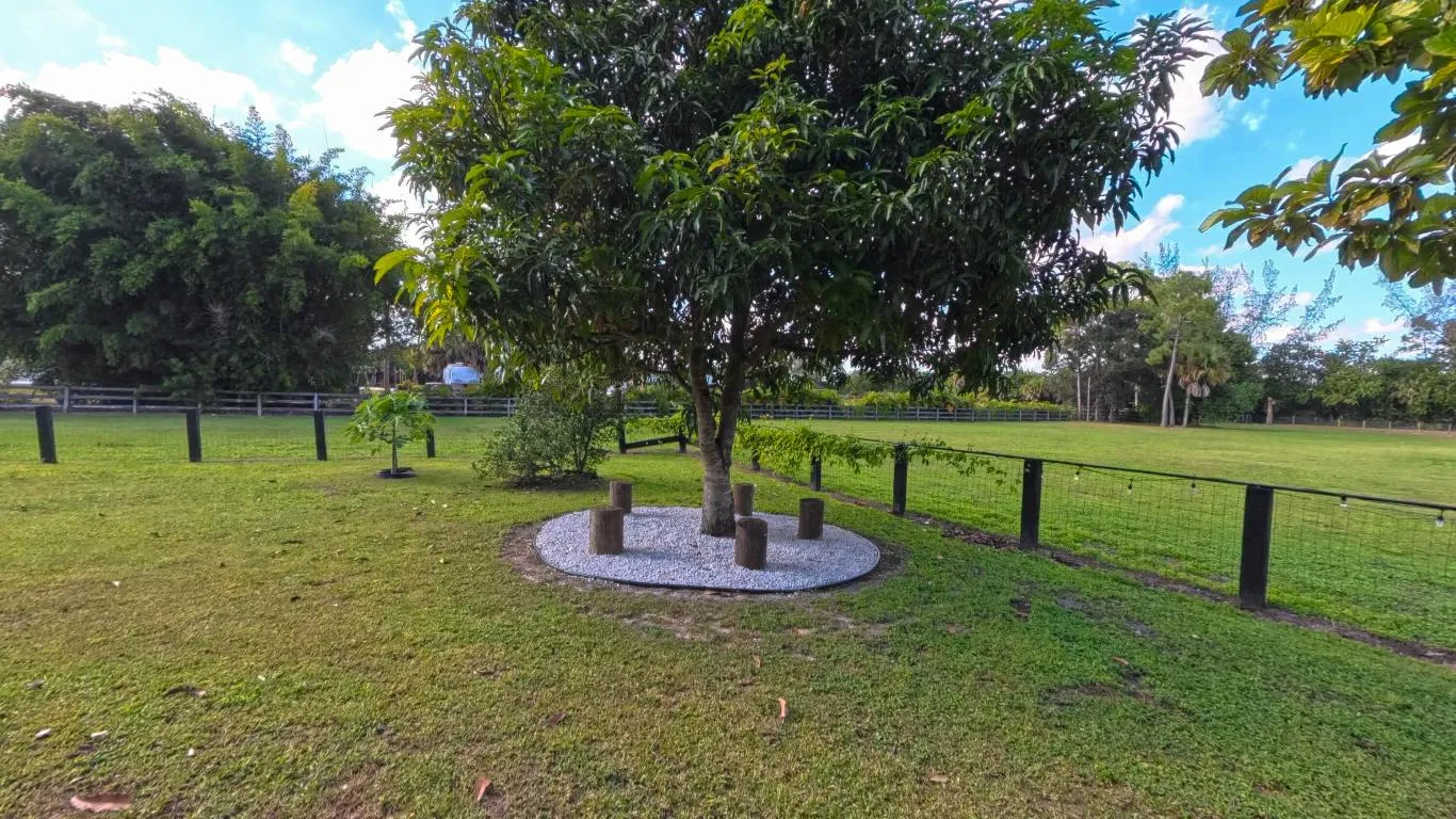 External fruit trees
