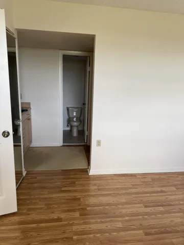 Primary bathroom vanity