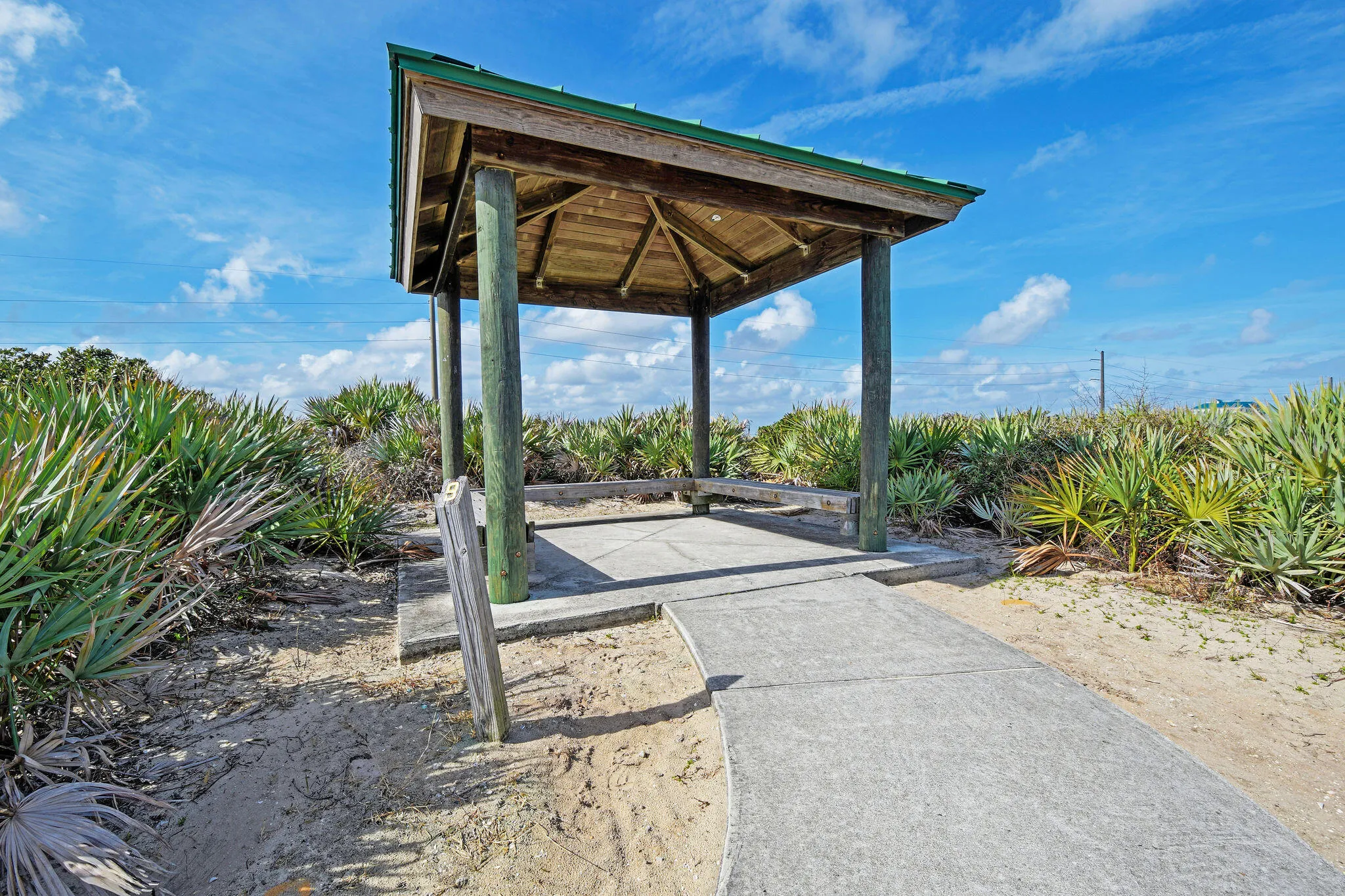 LoggerheadPark02