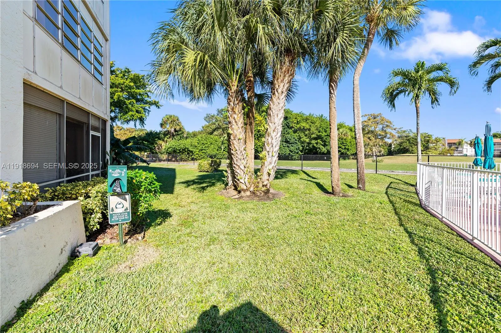 Backyard View