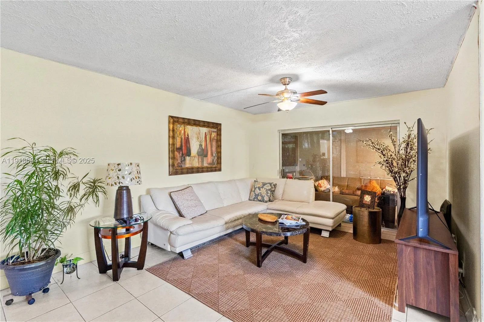 Living Room Area