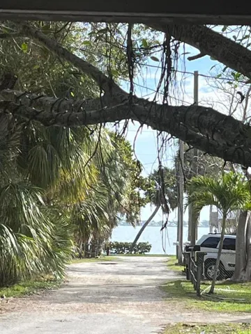 Poinciana View