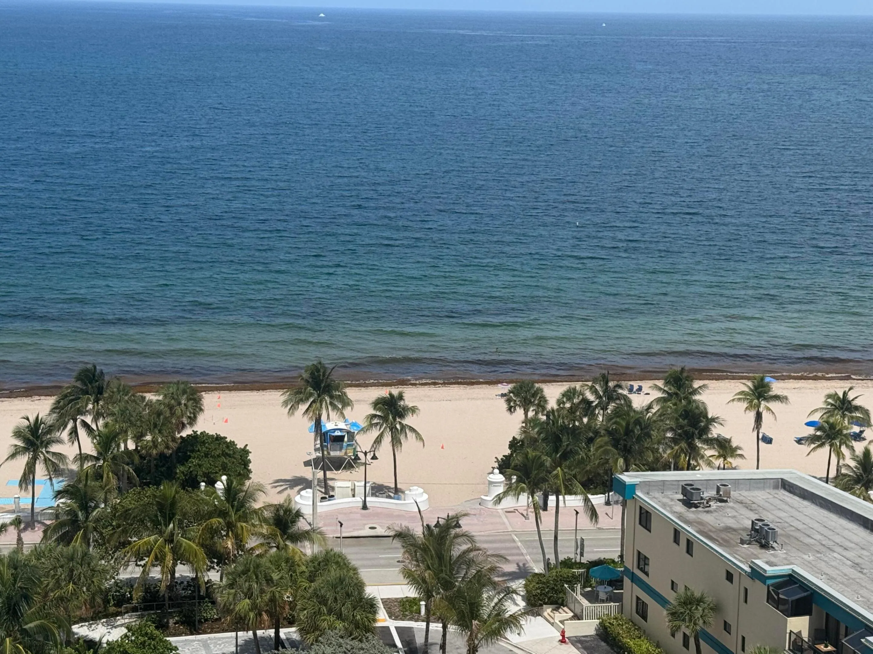 View