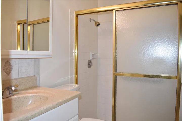 Guest Bath with Walk-in Shower