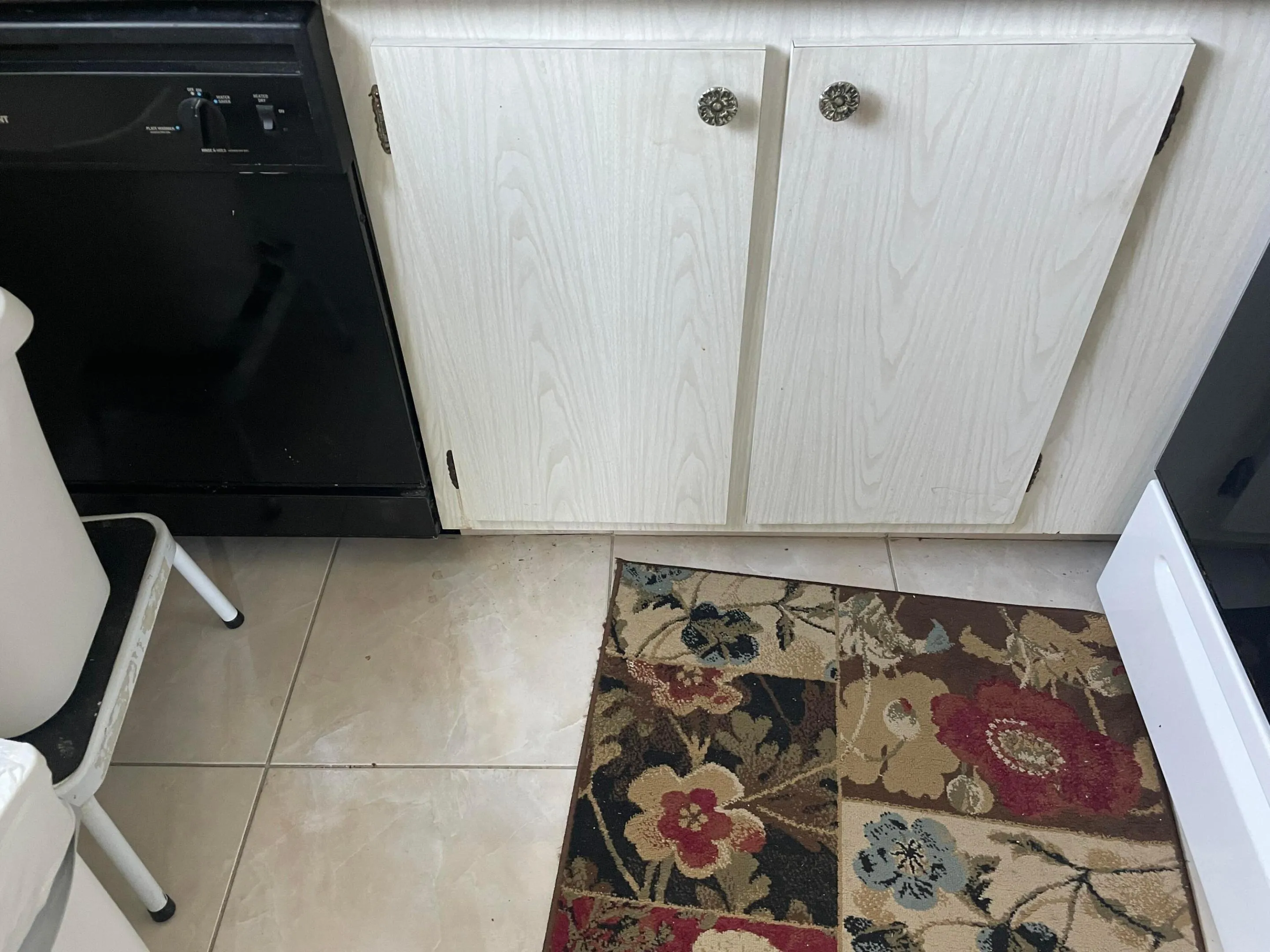 Lower cabinets and dishwasher