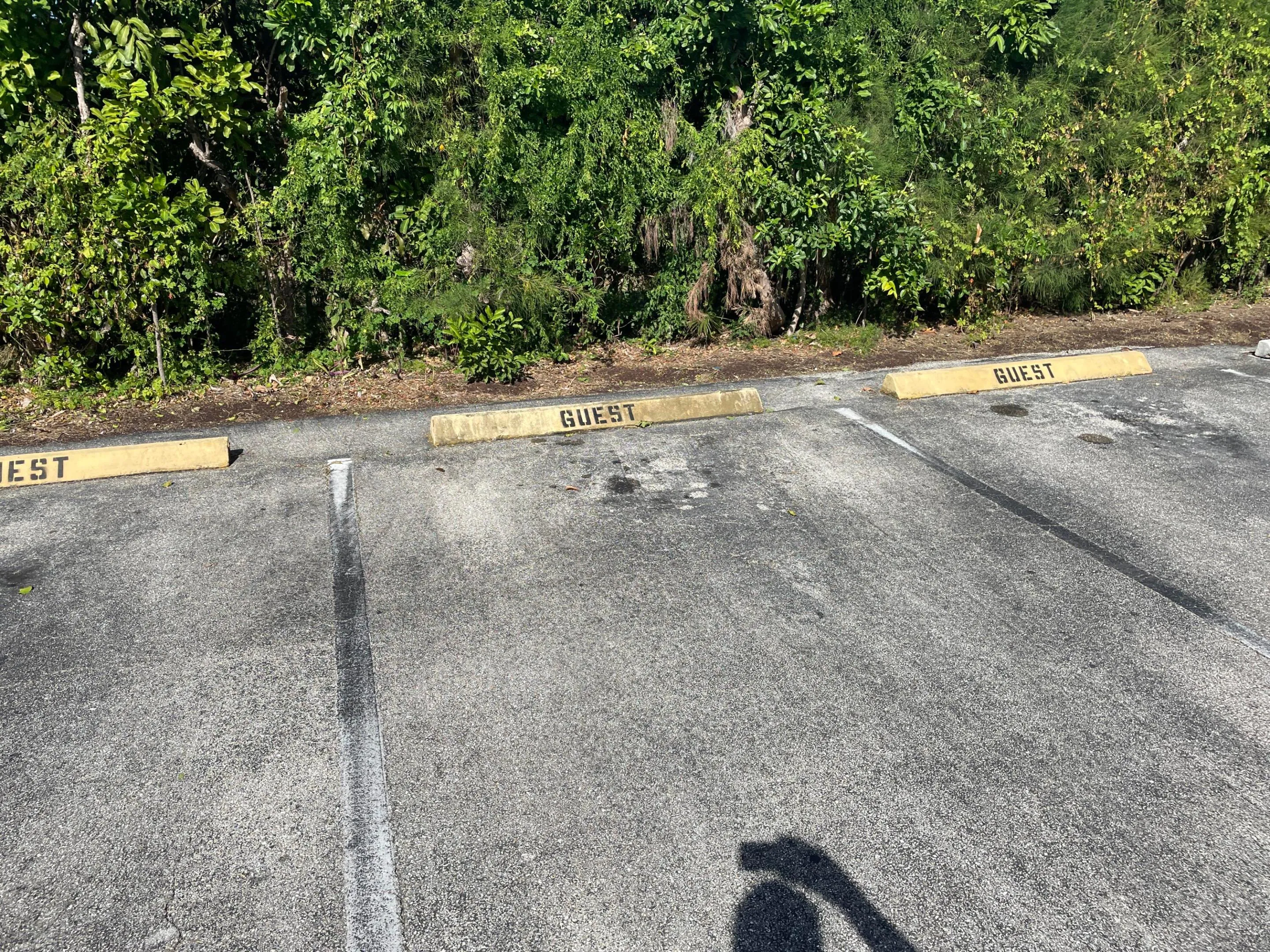 Plenty of guest parking