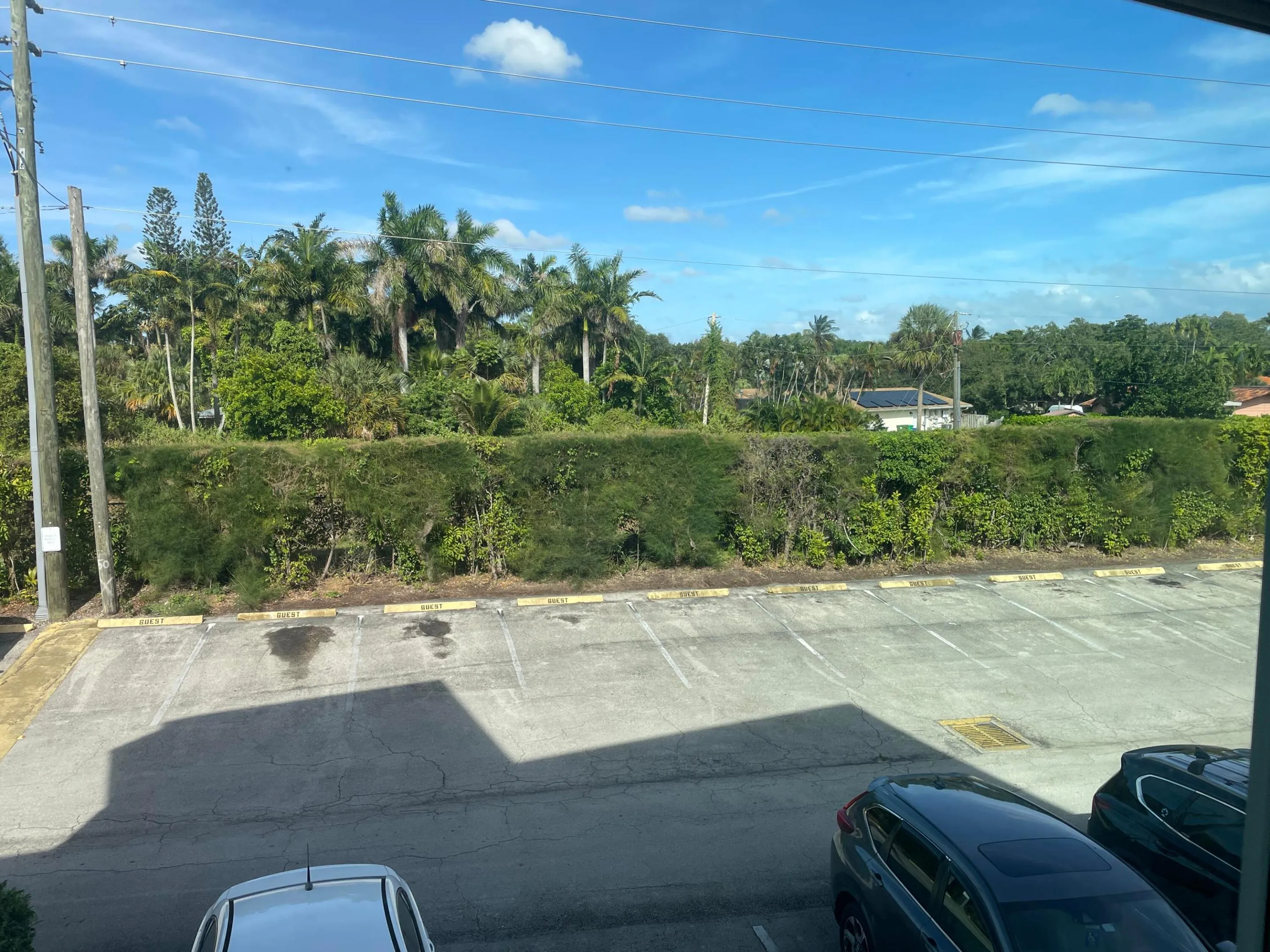 View from front window