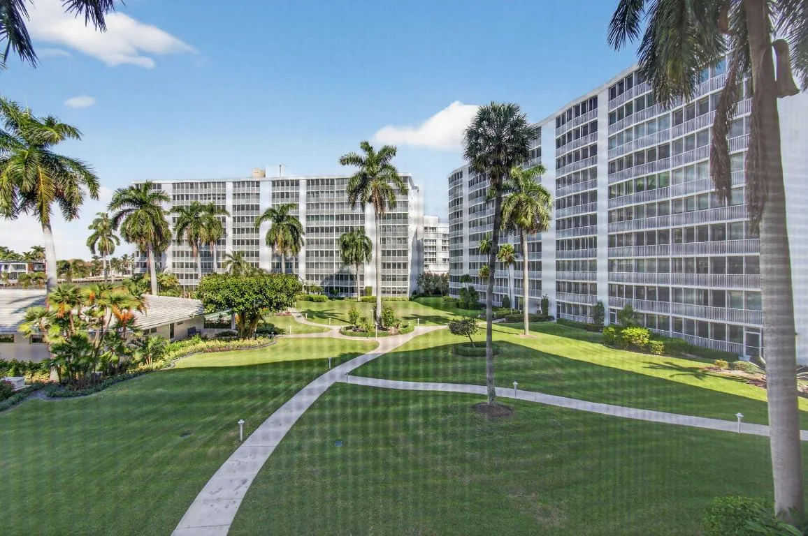 Tropical views!