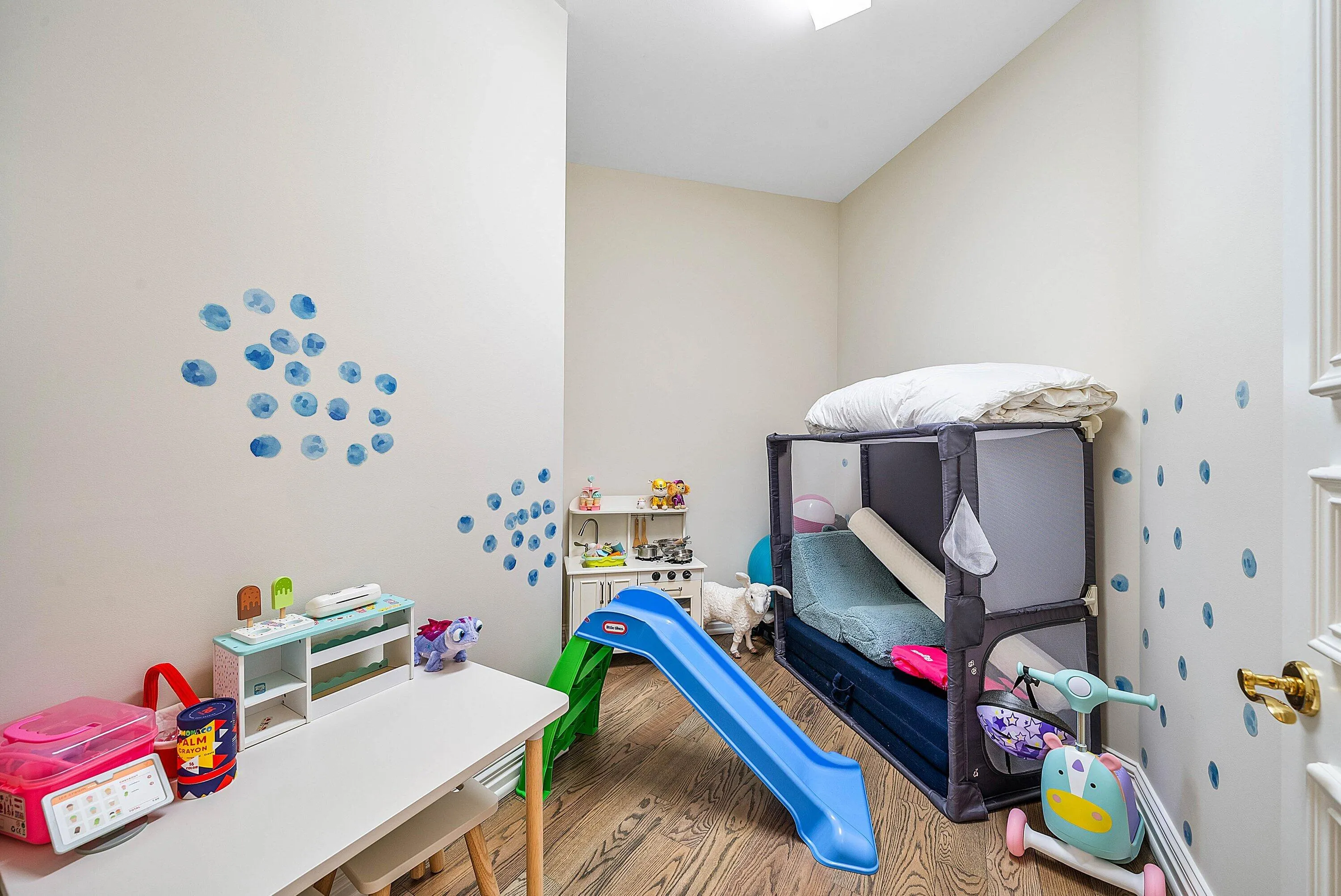 Owners Closet/Playroom