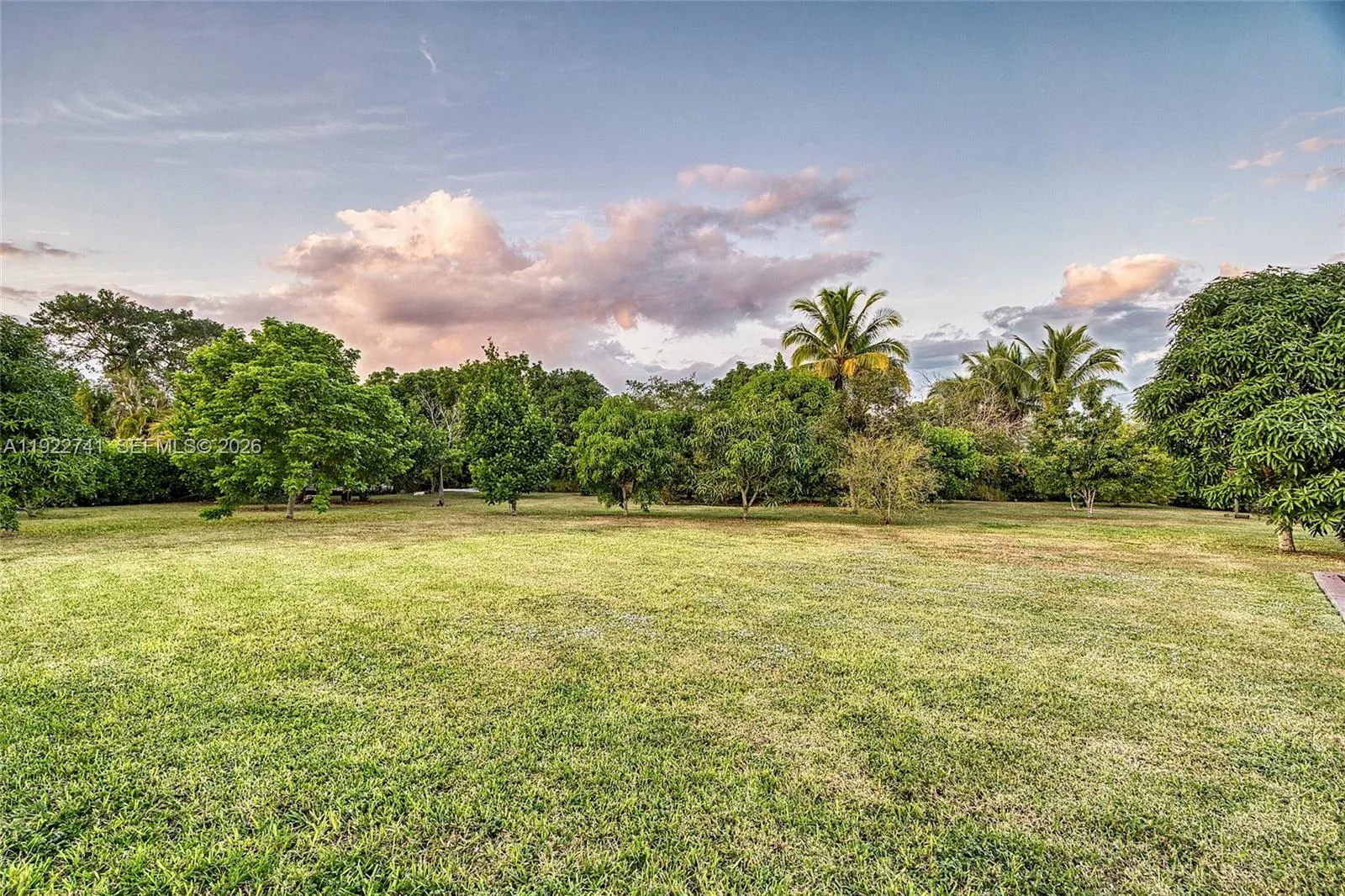 Property photo 49