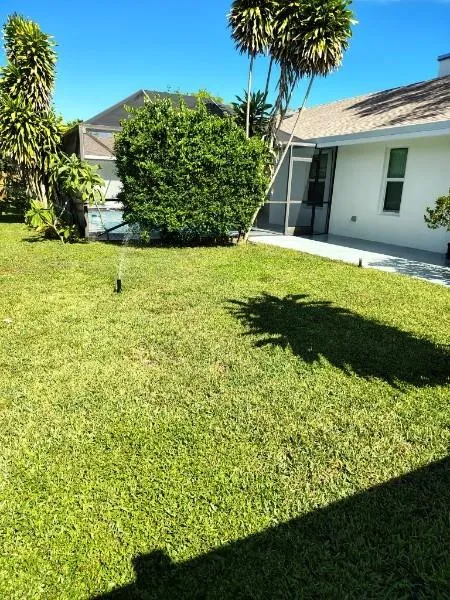 Back Yard 2