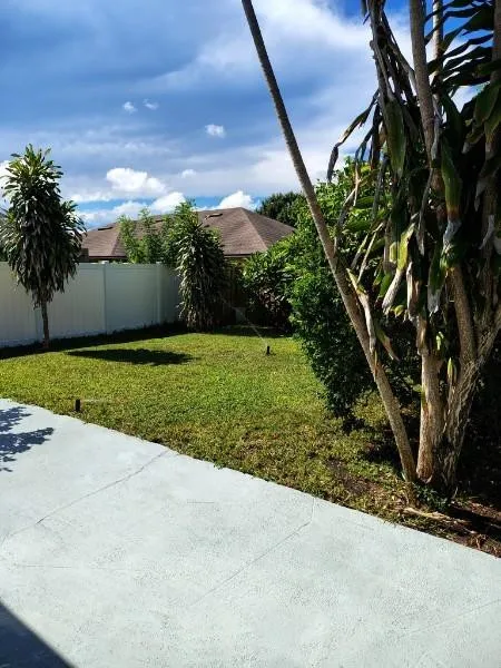 Back Yard 4
