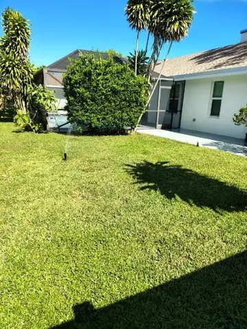 Back Yard 2