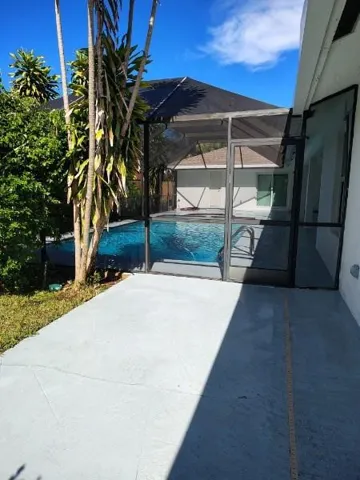 Back Yard 1
