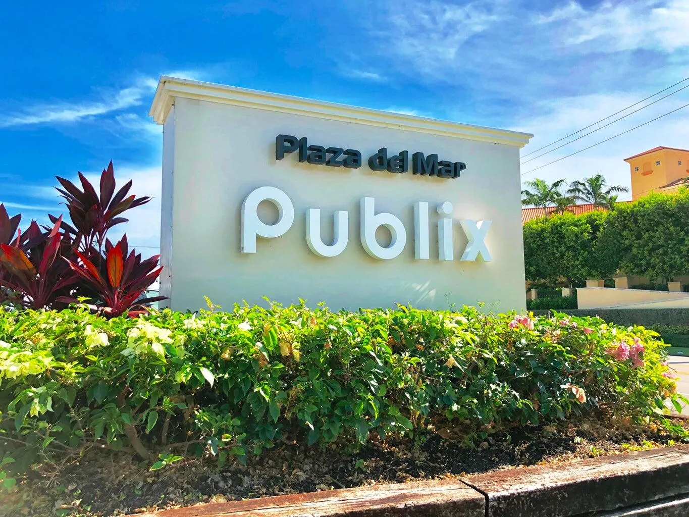 Publix Plaza Del Mar