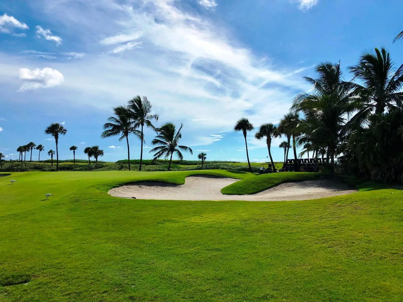 Par 3