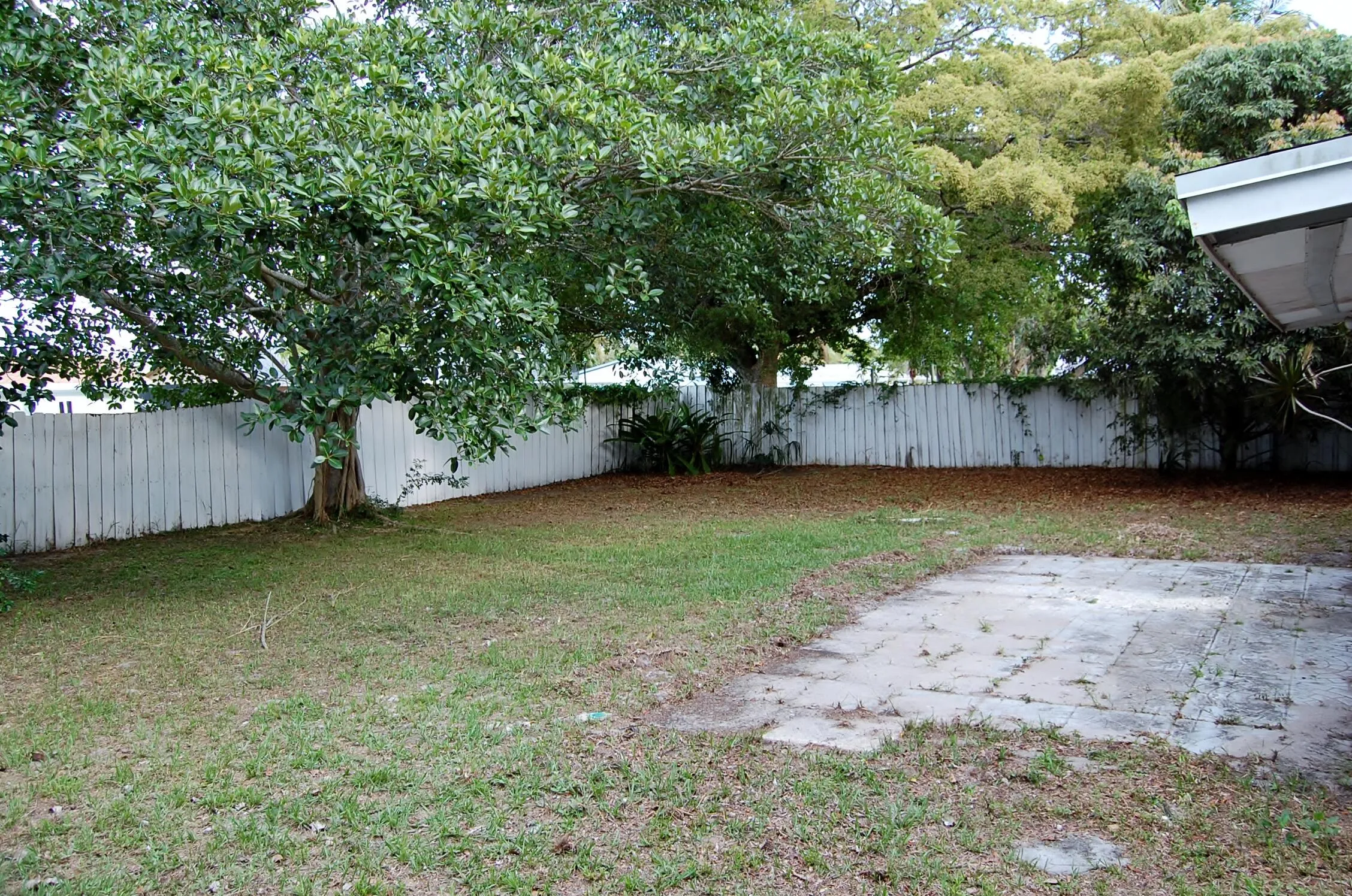 Backyard