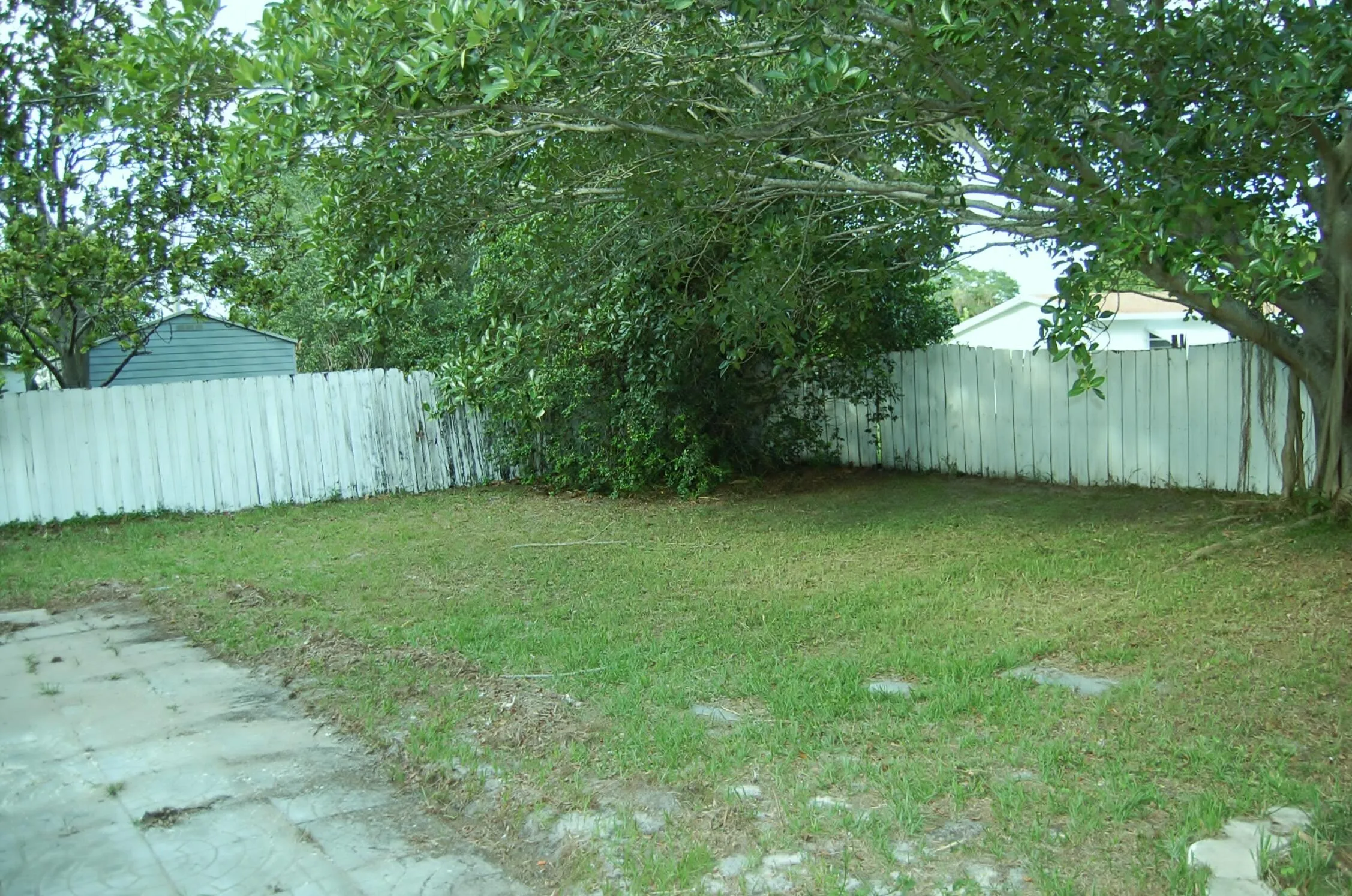 Backyard