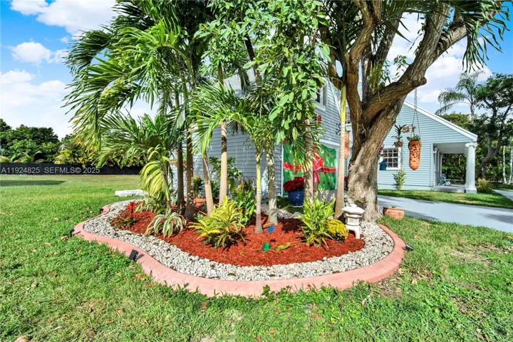 Tropical foliage.