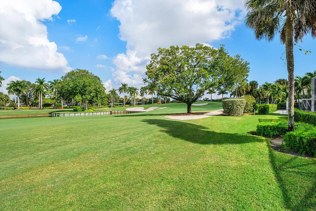 049-4705TreeFernDrive-