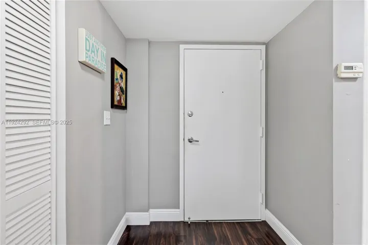 view of the apt's door from the interior
