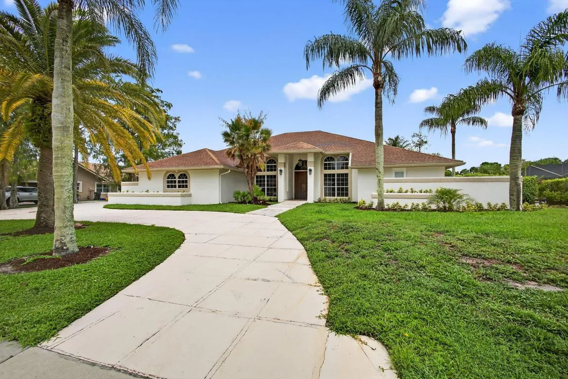 2-web-or-mls-BS1A2567