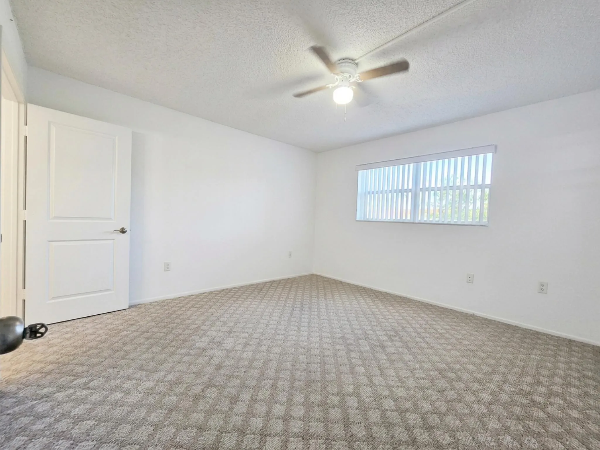 Primary room 1