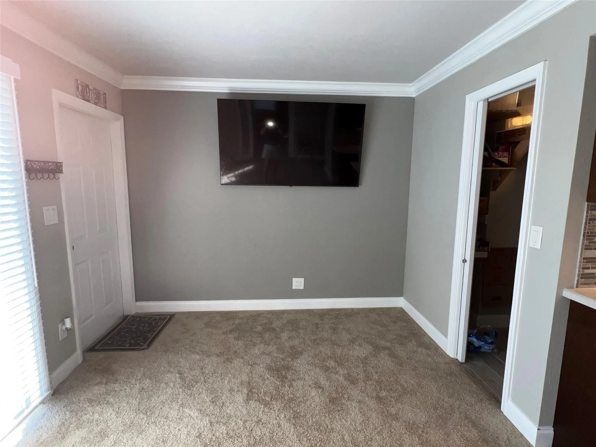TV stays! Pic w/ carpet
