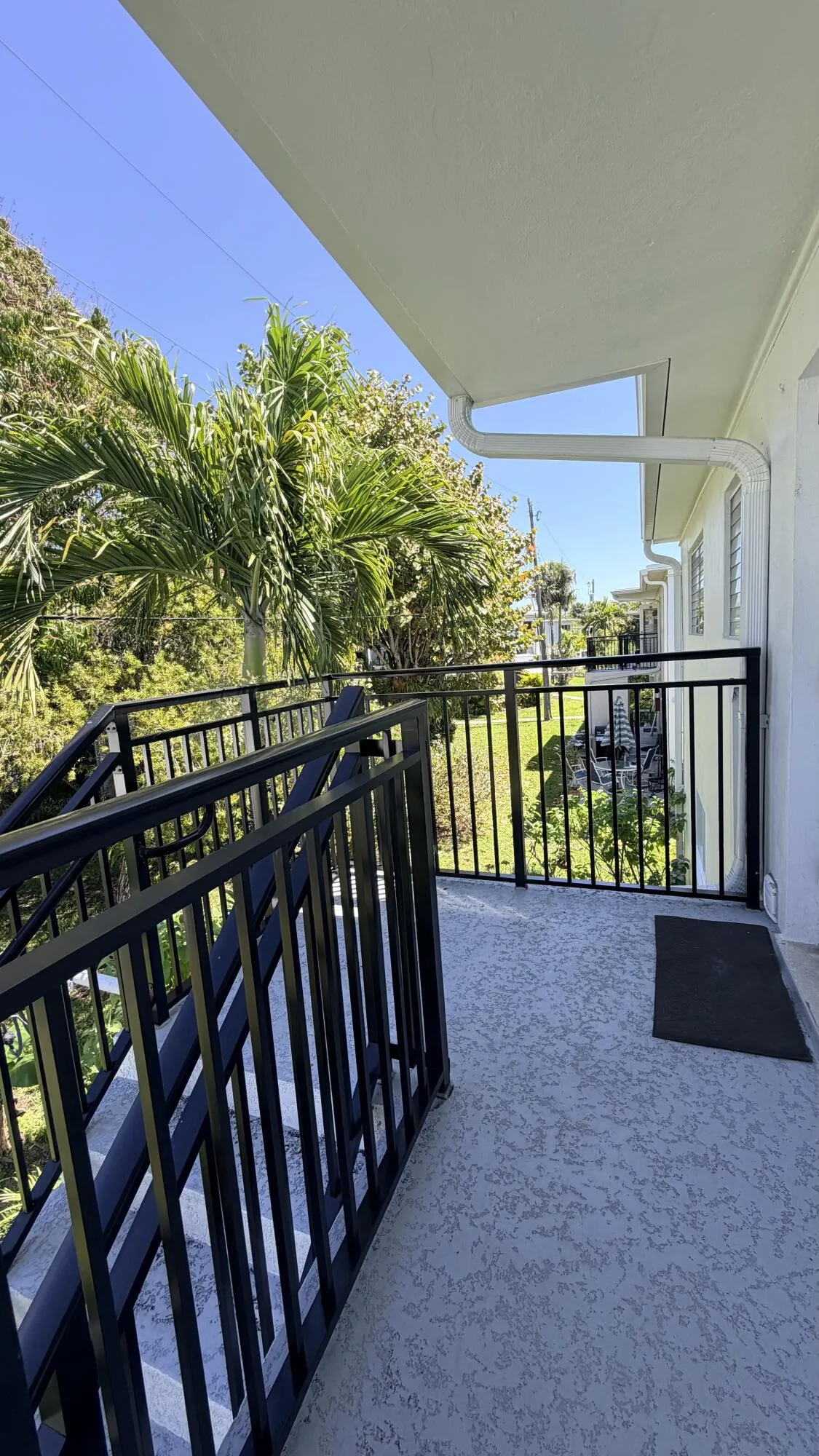 IMG_9650