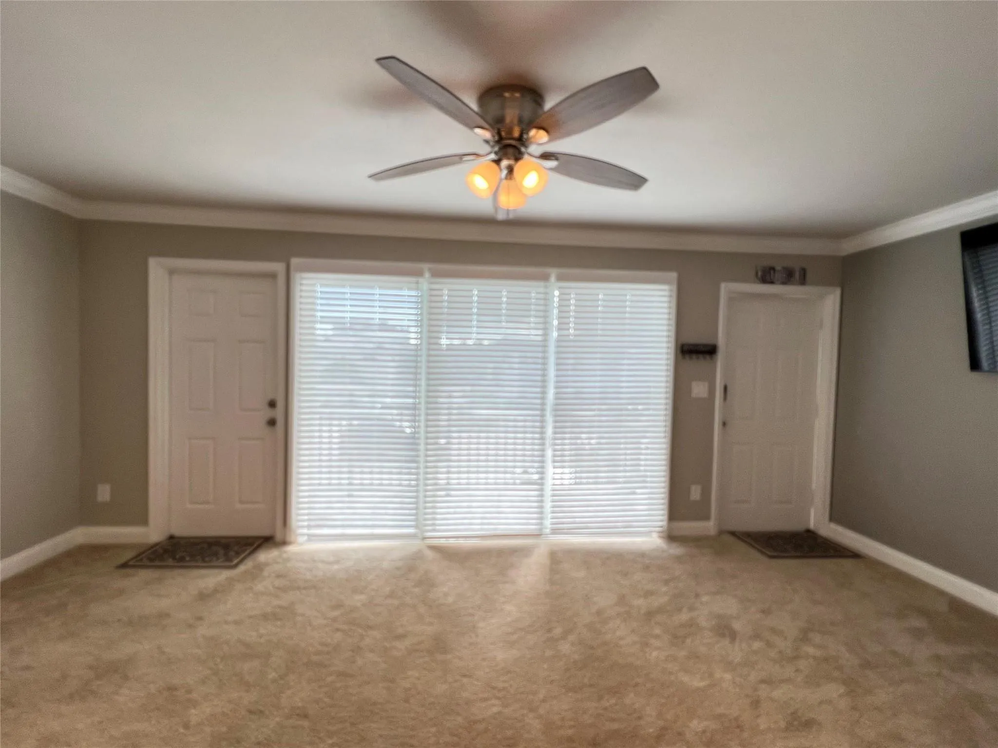 with carpet and w/o shutters