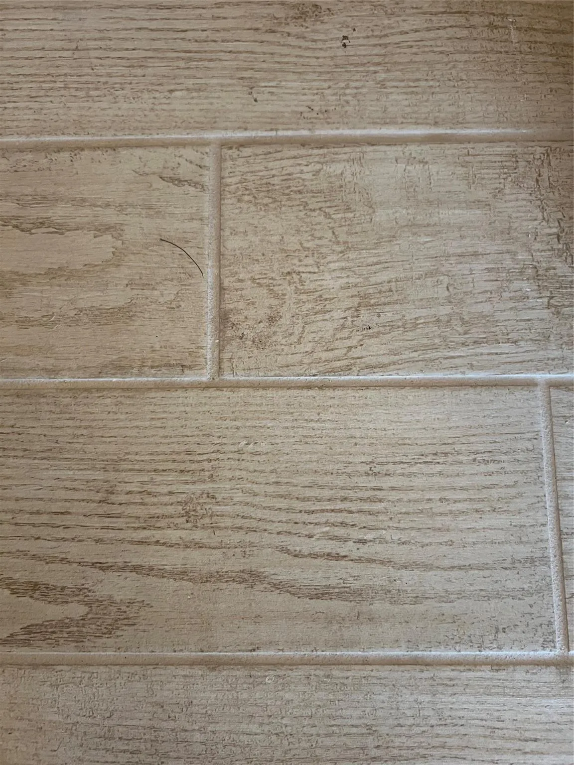 nice tile under the carpet in the entire apt.