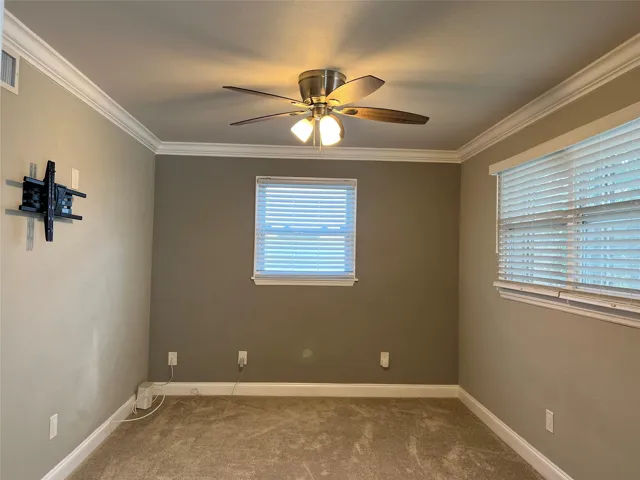 Den w. carpet that can removed