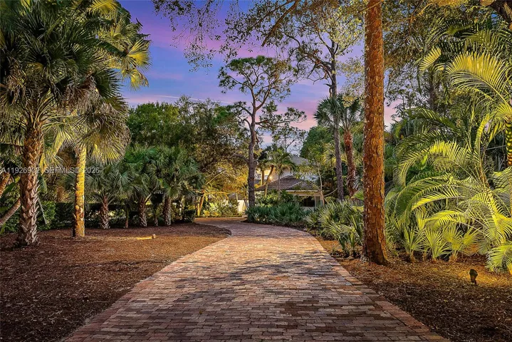 Driveway
