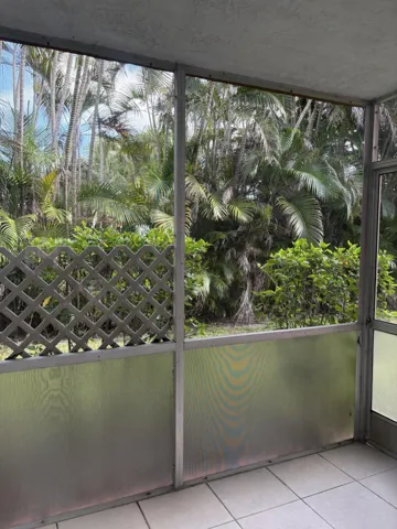 Backyard Tropical View