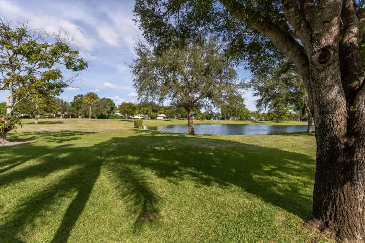 Lake view