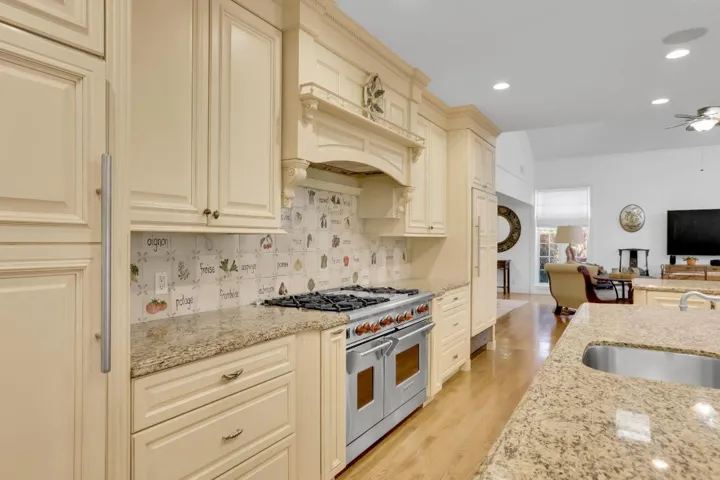 Professional Gas cooktop and oven