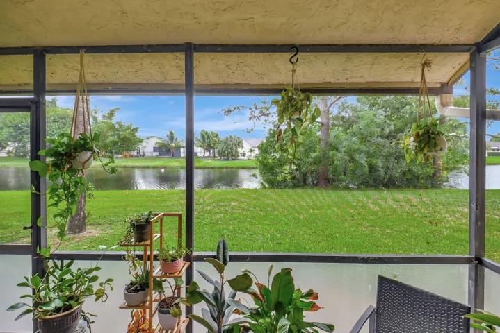 View from patio