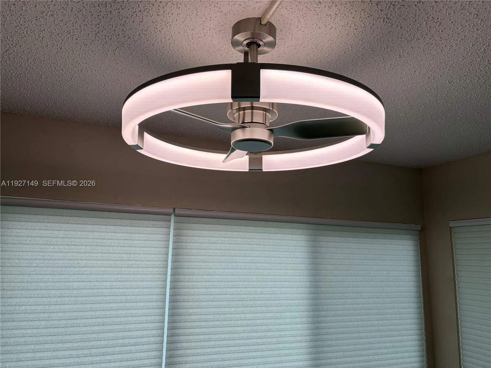 Florida roo lighted ceiling fan