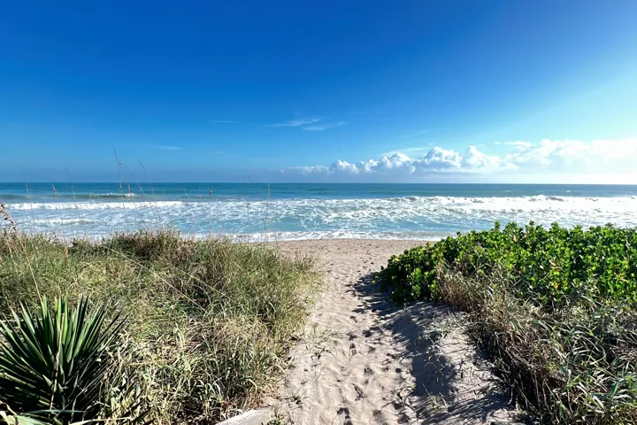 Ocean1