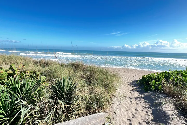 Ocean
